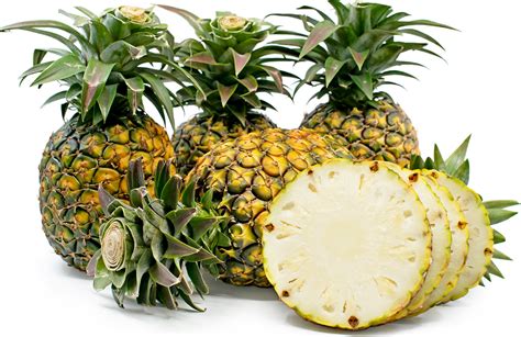 pineapple characteristics.
